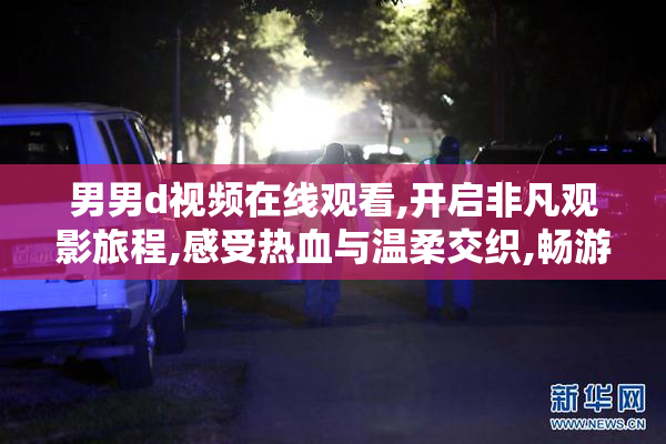 男男d视频在线观看,开启非凡观影旅程,感受热血与温柔交织,畅游在