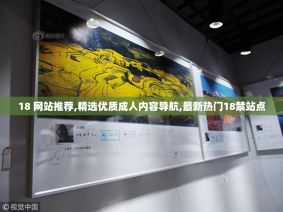 18 网站推荐,精选优质成人内容导航,最新热门18禁站点