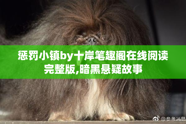 惩罚小镇by十岸笔趣阁在线阅读完整版,暗黑悬疑故事
