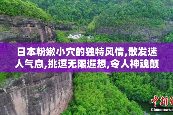 日本粉嫩小穴的独特风情,散发迷人气息,挑逗无限遐想,令人神魂颠倒