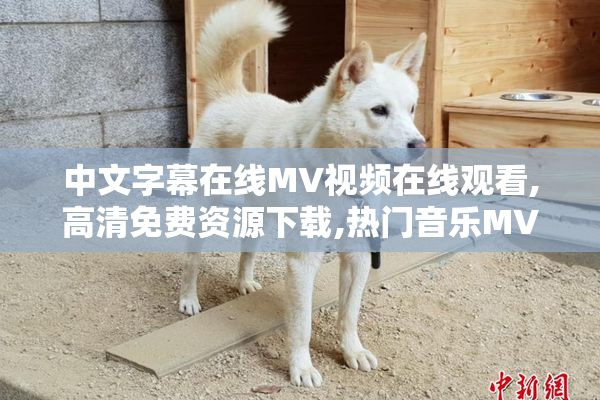 中文字幕在线MV视频在线观看,高清免费资源下载,热门音乐MV推荐