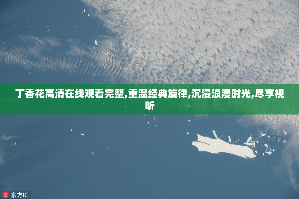 丁香花高清在线观看完整,重温经典旋律,沉浸浪漫时光,尽享视听