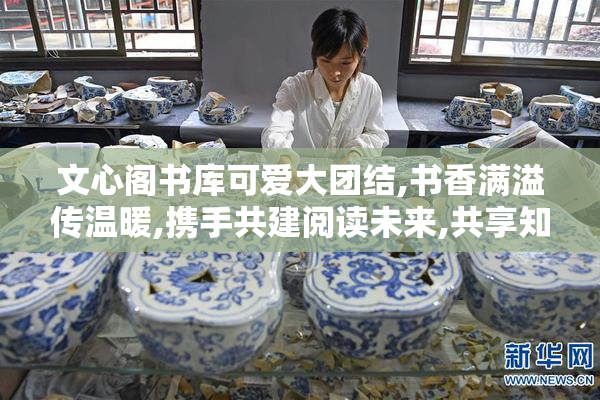 文心阁书库可爱大团结,书香满溢传温暖,携手共建阅读未来,共享知识