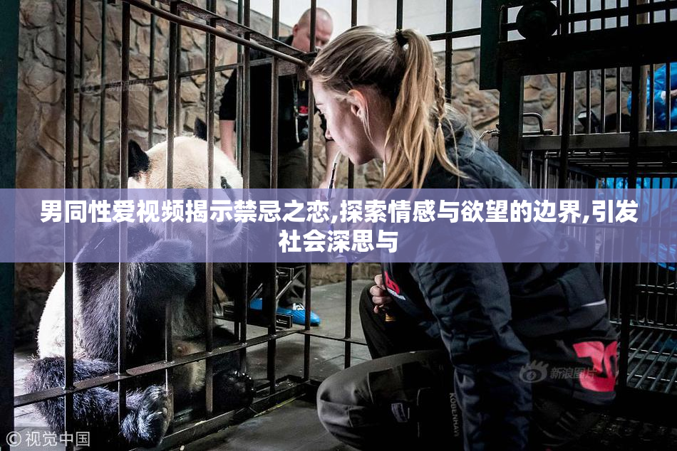 男同性爱视频揭示禁忌之恋,探索情感与欲望的边界,引发社会深思与