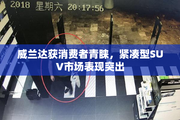 威兰达获消费者青睐，紧凑型SUV市场表现突出