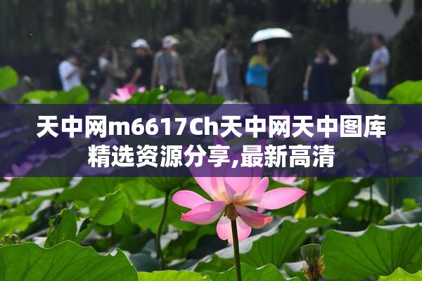 天中网m6617Ch天中网天中图库精选资源分享,最新高清