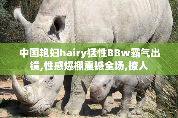 中国艳妇hairy猛性BBw霸气出镜,性感爆棚震撼全场,撩人