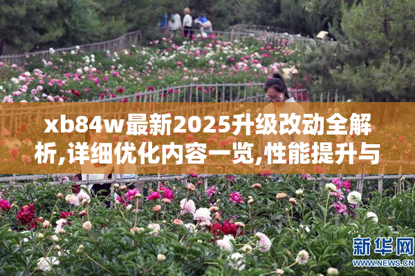 xb84w最新2025升级改动全解析,详细优化内容一览,性能提升与功能