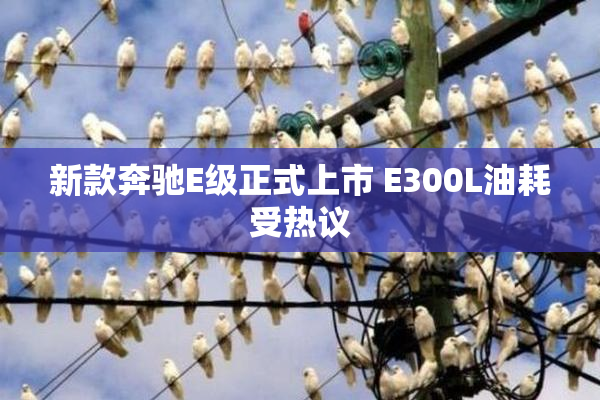 新款奔驰E级正式上市 E300L油耗受热议