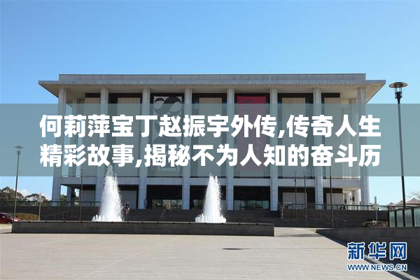 何莉萍宝丁赵振宇外传,传奇人生精彩故事,揭秘不为人知的奋斗历程