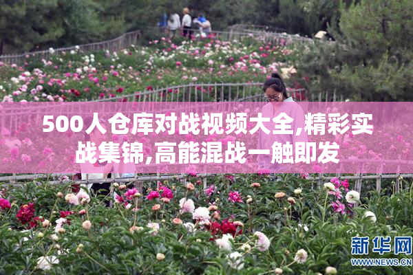 500人仓库对战视频大全,精彩实战集锦,高能混战一触即发