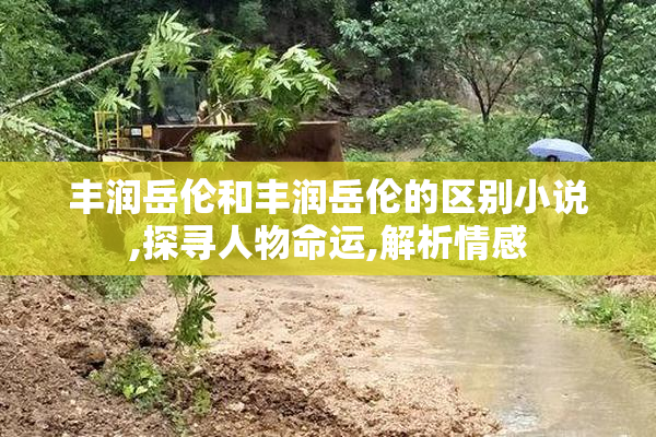 丰润岳伦和丰润岳伦的区别小说,探寻人物命运,解析情感