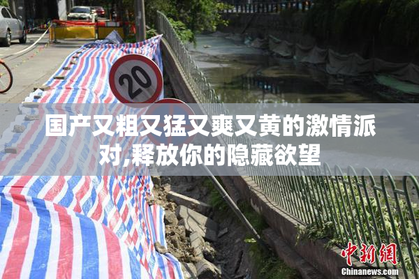 国产又粗又猛又爽又黄的激情派对,释放你的隐藏欲望