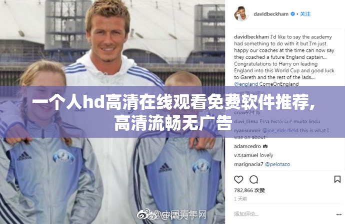 一个人hd高清在线观看免费软件推荐,高清流畅无广告