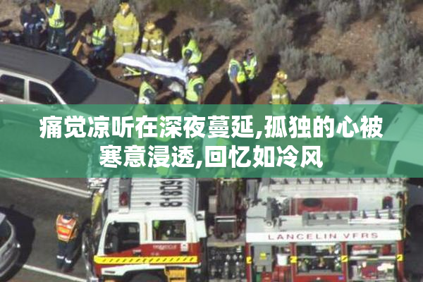 痛觉凉听在深夜蔓延,孤独的心被寒意浸透,回忆如冷风