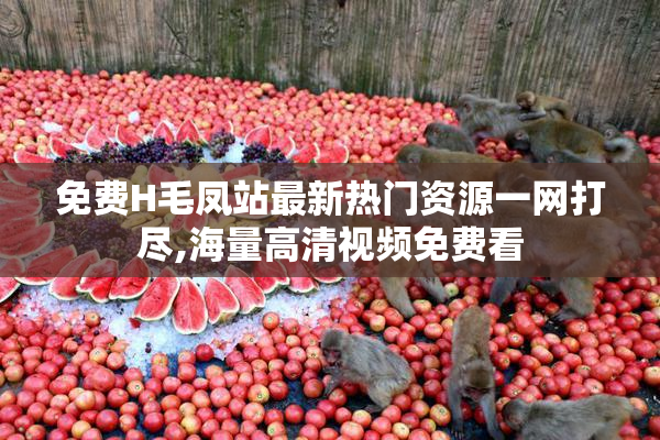 免费H毛凤站最新热门资源一网打尽,海量高清视频免费看