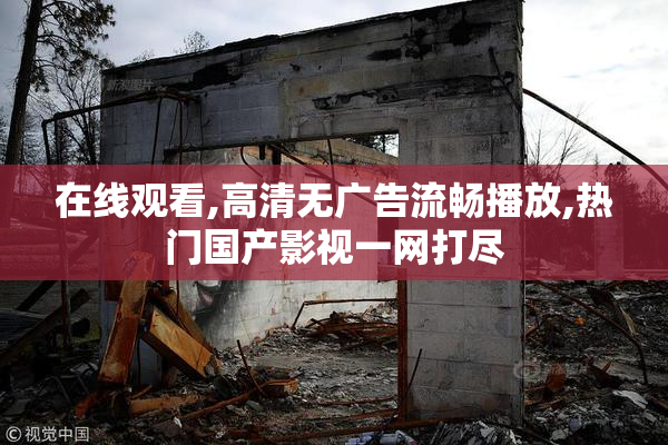 在线观看,高清无广告流畅播放,热门国产影视一网打尽
