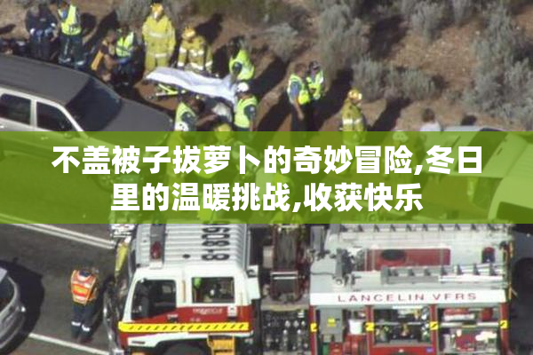 不盖被子拔萝卜的奇妙冒险,冬日里的温暖挑战,收获快乐