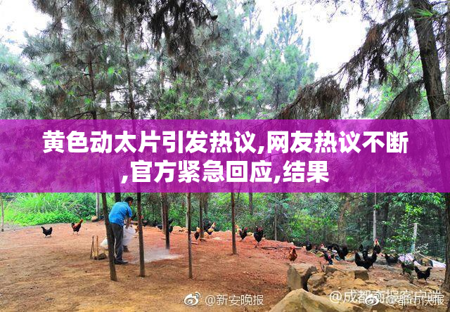 黄色动太片引发热议,网友热议不断,官方紧急回应,结果