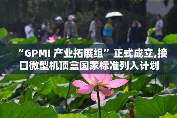 “GPMI 产业拓展组”正式成立,接口微型机顶盒国家标准列入计划等