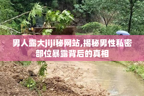 男人露大jiji秘网站,揭秘男性私密部位暴露背后的真相