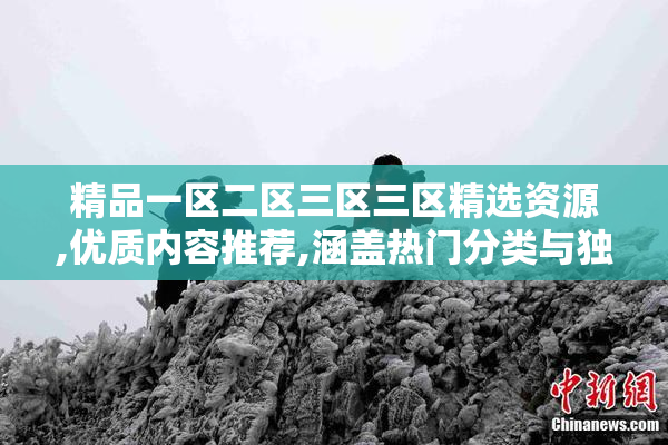 精品一区二区三区三区精选资源,优质内容推荐,涵盖热门分类与独家