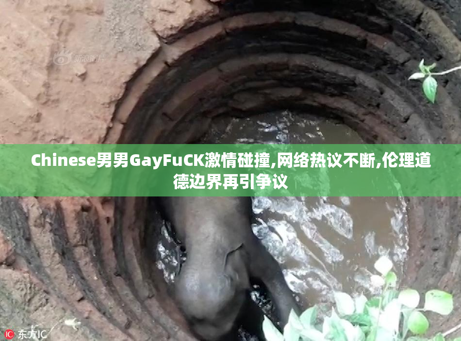 Chinese男男GayFuCK激情碰撞,网络热议不断,伦理道德边界再引争议