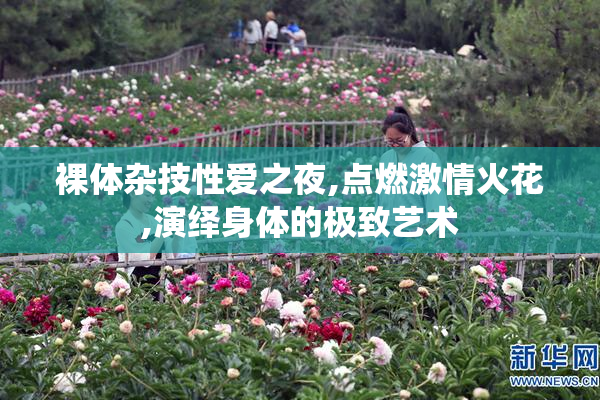 裸体杂技性爱之夜,点燃激情火花,演绎身体的极致艺术