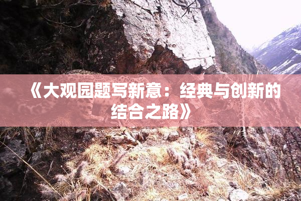 《大观园题写新意：经典与创新的结合之路》