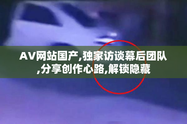 AV网站国产,独家访谈幕后团队,分享创作心路,解锁隐藏
