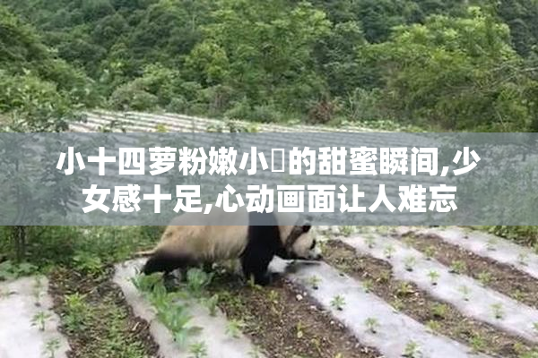 小十四萝粉嫩小泬的甜蜜瞬间,少女感十足,心动画面让人难忘