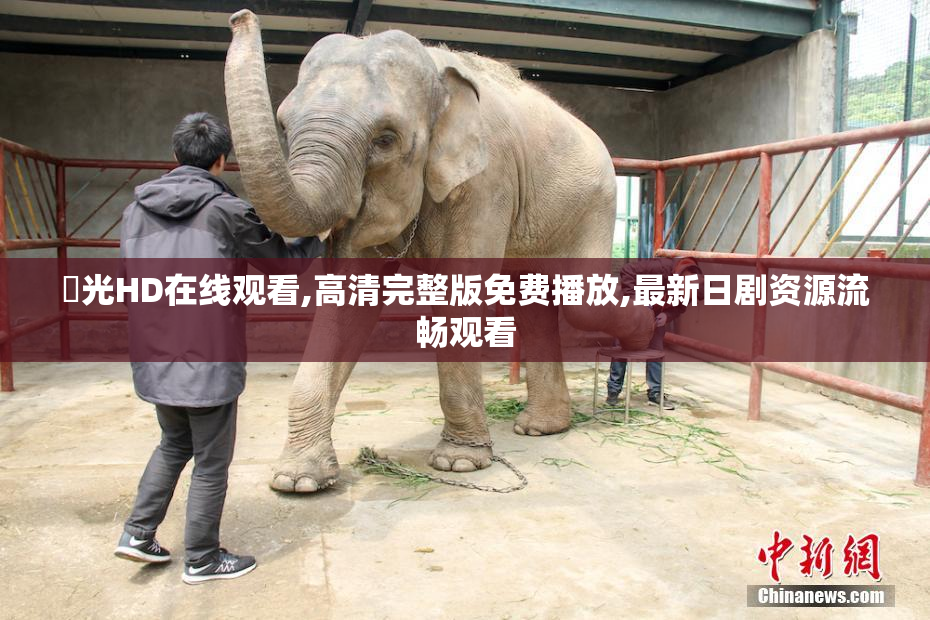 凪光HD在线观看,高清完整版免费播放,最新日剧资源流畅观看