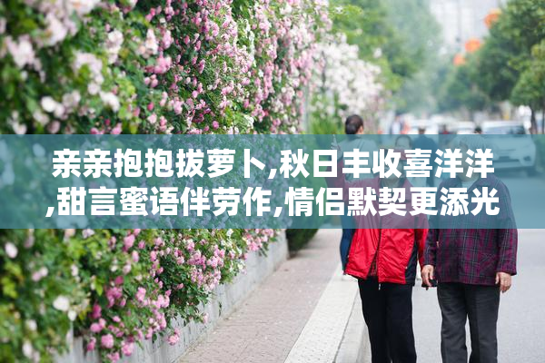 亲亲抱抱拔萝卜,秋日丰收喜洋洋,甜言蜜语伴劳作,情侣默契更添光