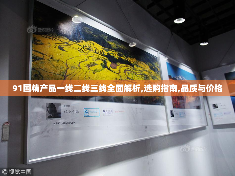 91国精产品一线二线三线全面解析,选购指南,品质与价格