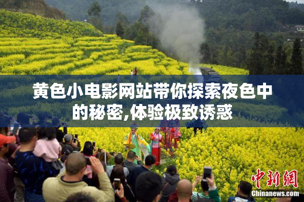 黄色小电影网站带你探索夜色中的秘密,体验极致诱惑
