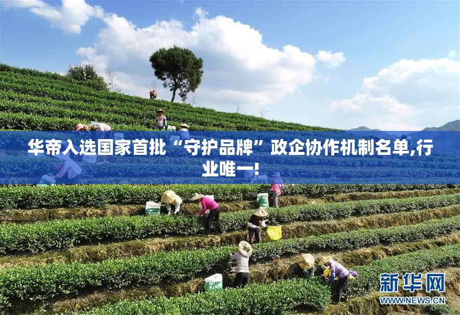 华帝入选国家首批“守护品牌”政企协作机制名单,行业唯一!