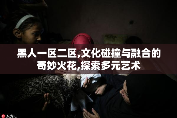 黑人一区二区,文化碰撞与融合的奇妙火花,探索多元艺术