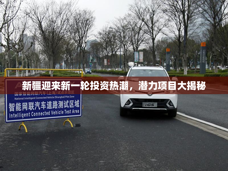 新疆迎来新一轮投资热潮，潜力项目大揭秘