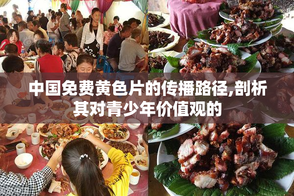 中国免费黄色片的传播路径,剖析其对青少年价值观的