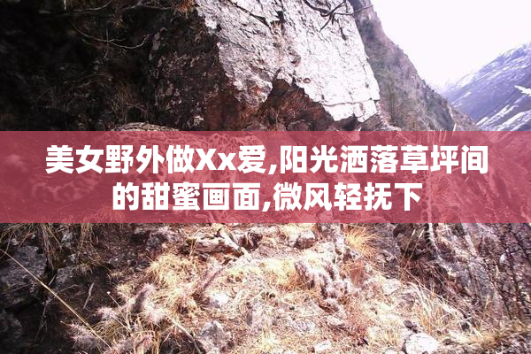 美女野外做Xx爱,阳光洒落草坪间的甜蜜画面,微风轻抚下