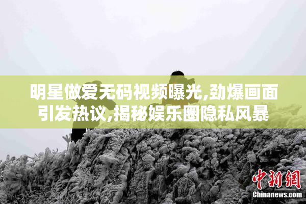 明星做爱无码视频曝光,劲爆画面引发热议,揭秘娱乐圈隐私风暴