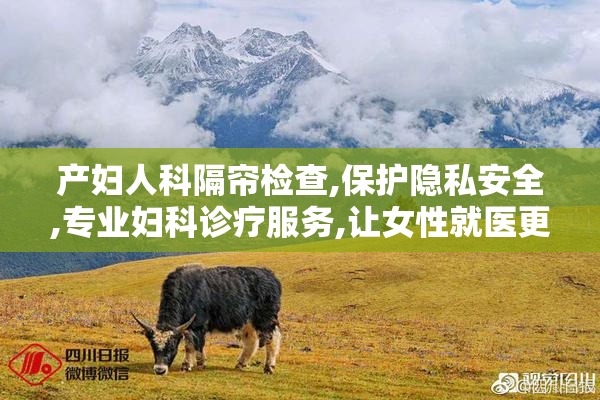 产妇人科隔帘检查,保护隐私安全,专业妇科诊疗服务,让女性就医更安心