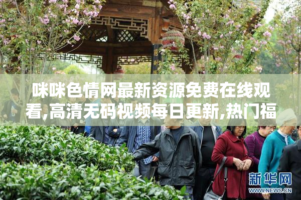 咪咪色情网最新资源免费在线观看,高清无码视频每日更新,热门福利