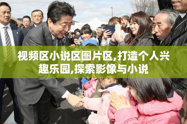 视频区小说区图片区,打造个人兴趣乐园,探索影像与小说