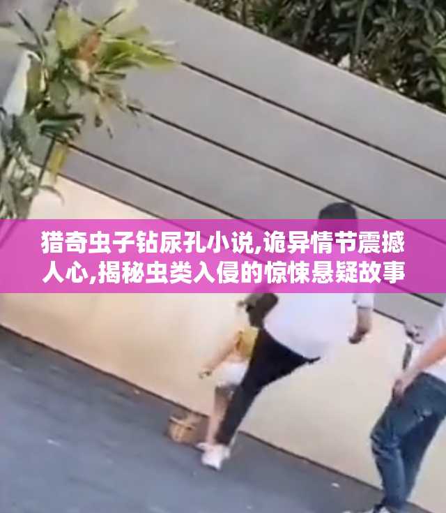 猎奇虫子钻尿孔小说,诡异情节震撼人心,揭秘虫类入侵的惊悚悬疑故事