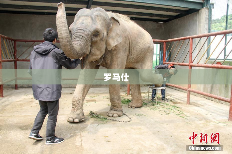罗马仕