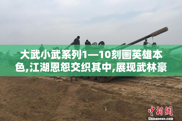 大武小武系列1—10刻画英雄本色,江湖恩怨交织其中,展现武林豪杰的
