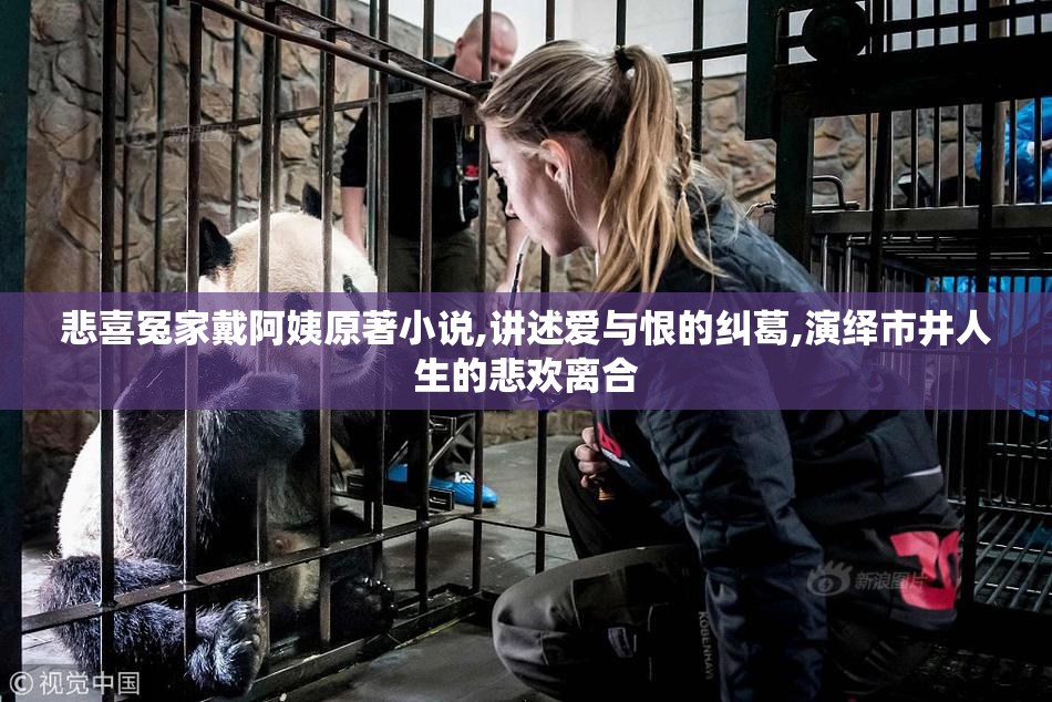 悲喜冤家戴阿姨原著小说,讲述爱与恨的纠葛,演绎市井人生的悲欢离合