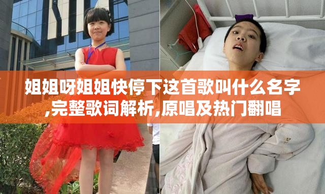 姐姐呀姐姐快停下这首歌叫什么名字,完整歌词解析,原唱及热门翻唱