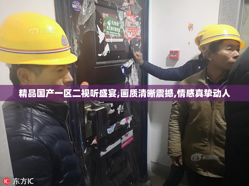 精品国产一区二视听盛宴,画质清晰震撼,情感真挚动人
